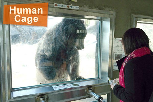 🏞️ 노보리베츠 곰 목장 (노보리베츠 쿠마보쿠조) 이미지 7